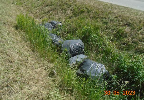 Usuwanie dzikich wysypisk śmieci